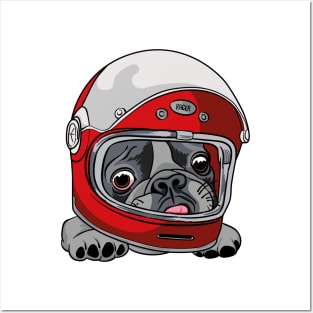 Racer pug Posters and Art